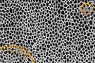 acero-de-grano-fino-vista-microscopica